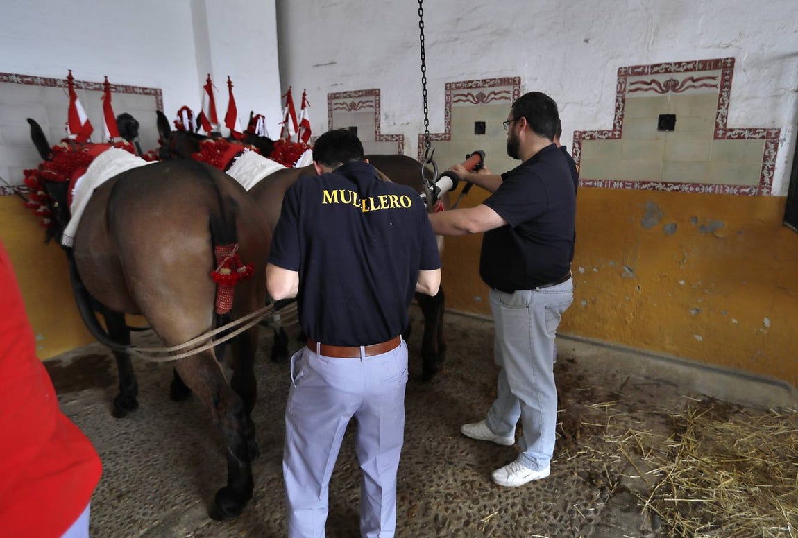 Detalles que dejó la tarde