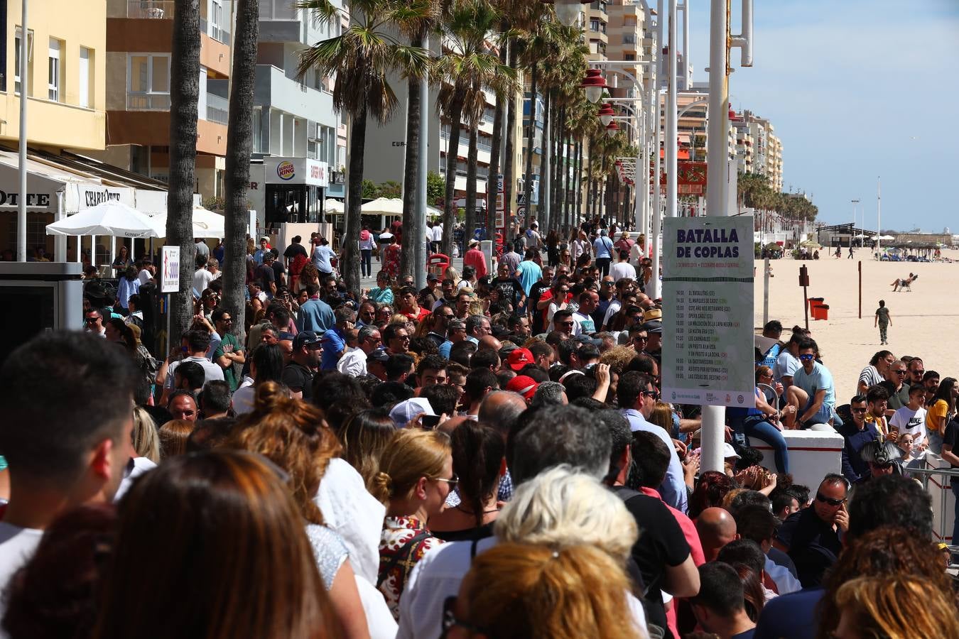 Batalla de coplas o carnaval en bañador