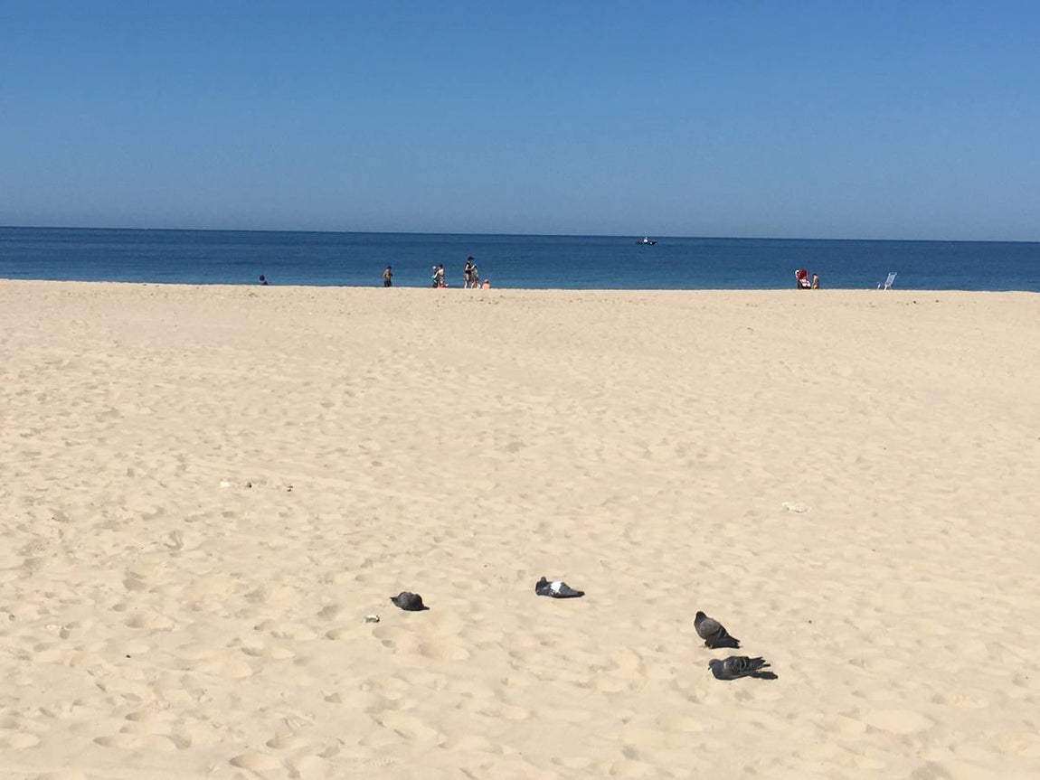 FOTOS: La huella de la suciedad en los barrios