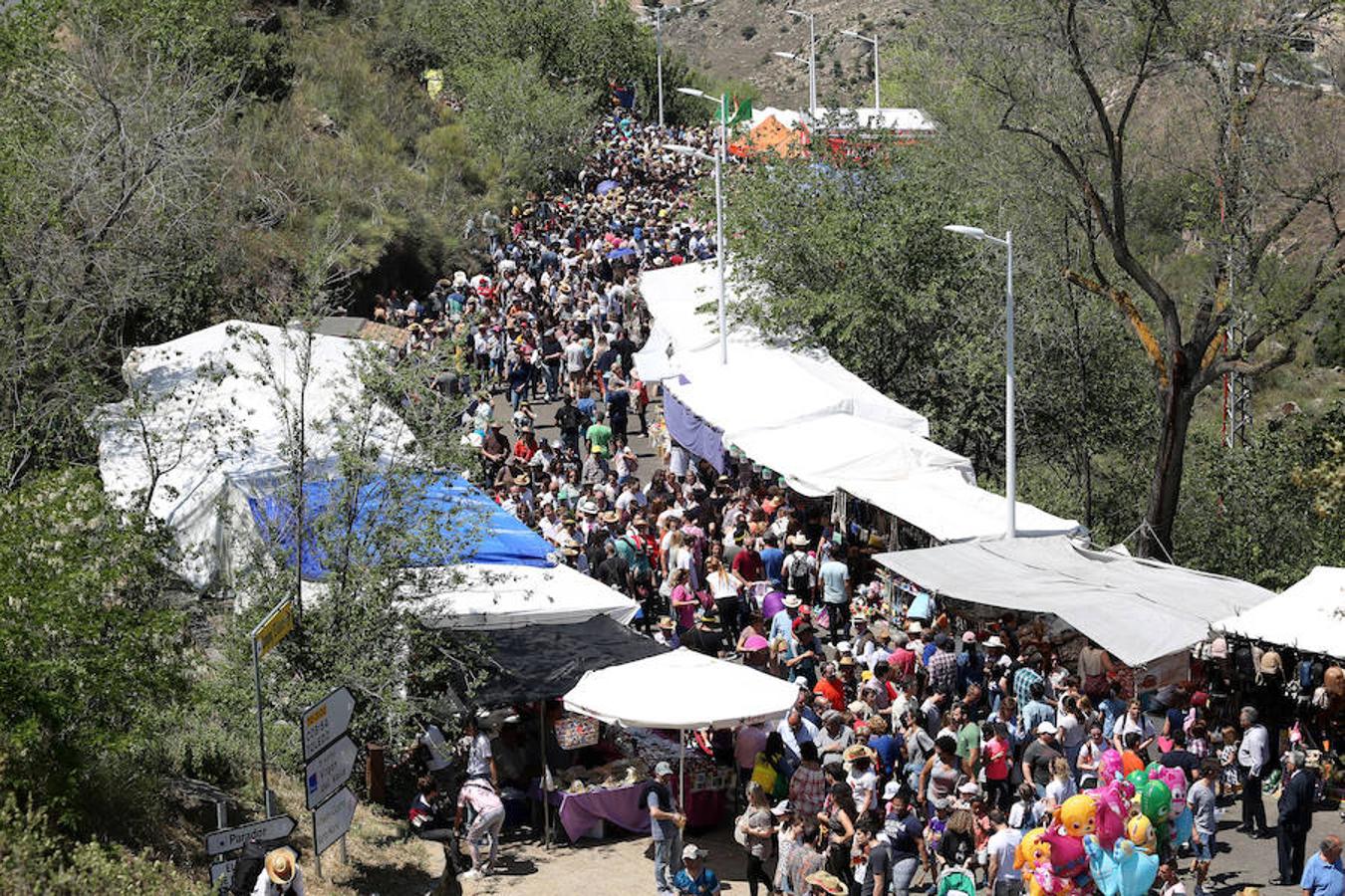 La romería del Valle, en imágenes