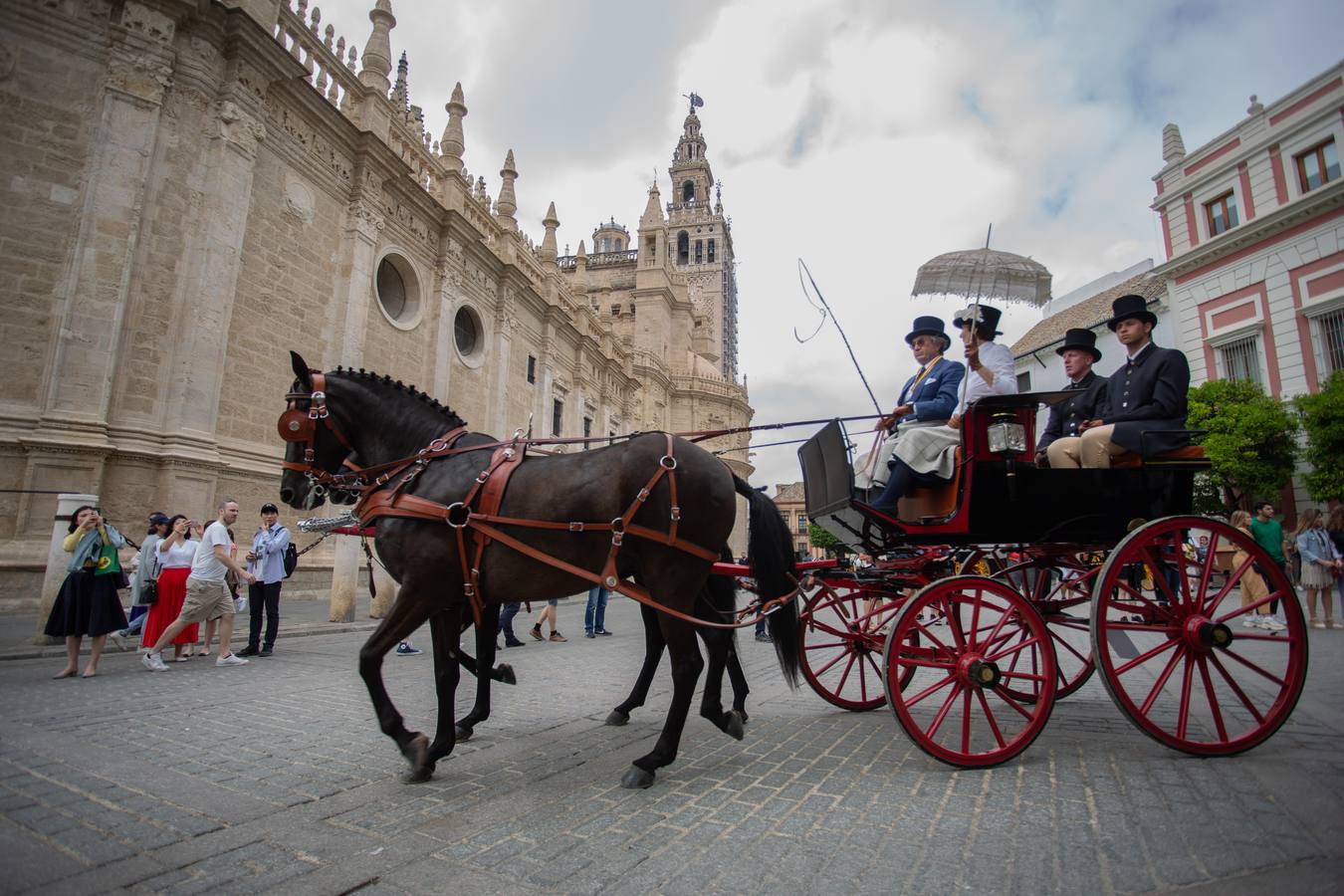 En imágenes, el Concurso y posterior paseo de los Enganches por Sevilla