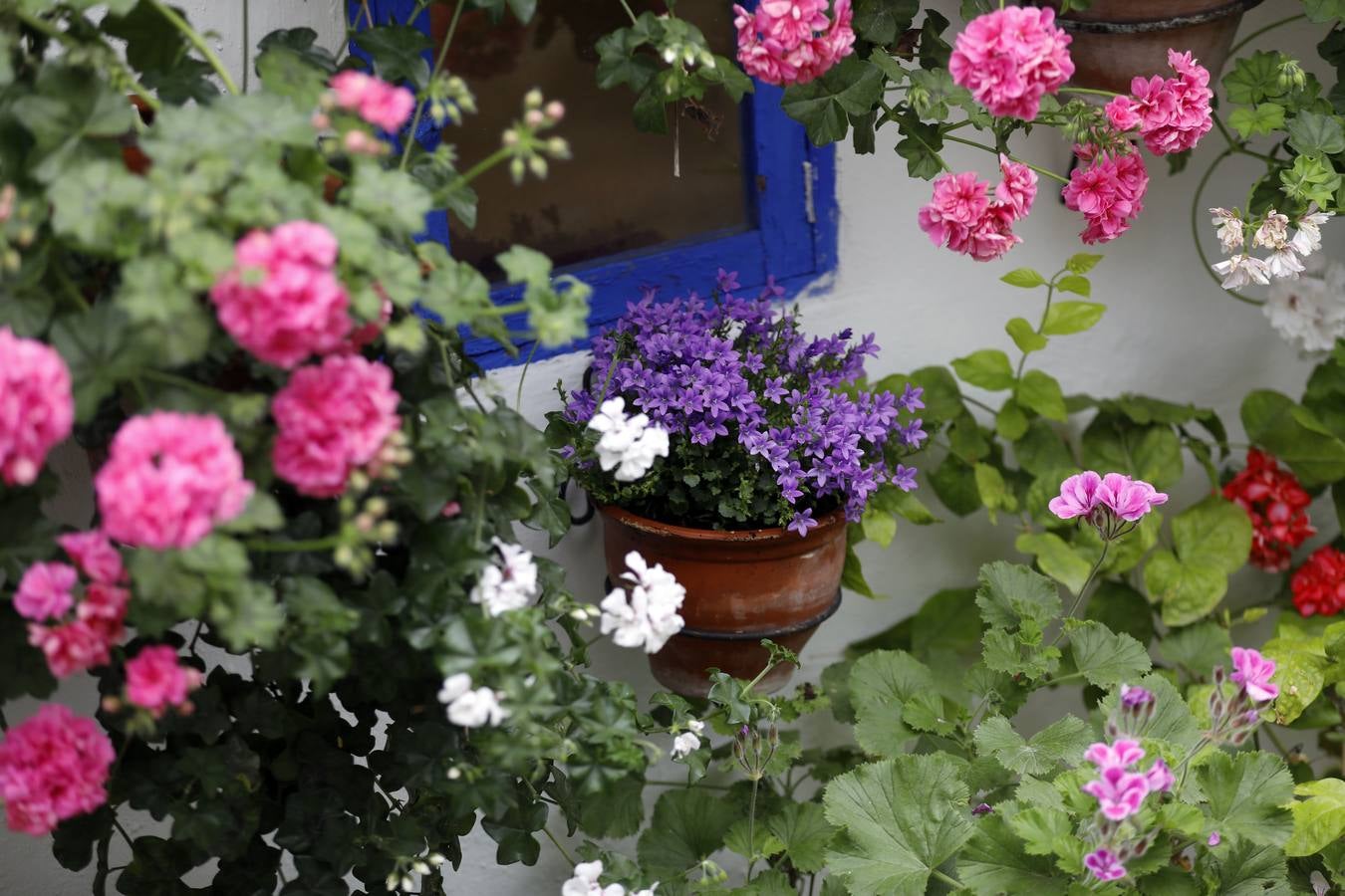 Los detalles del patio de Marroquíes, 6 en Córdoba, en imágenes