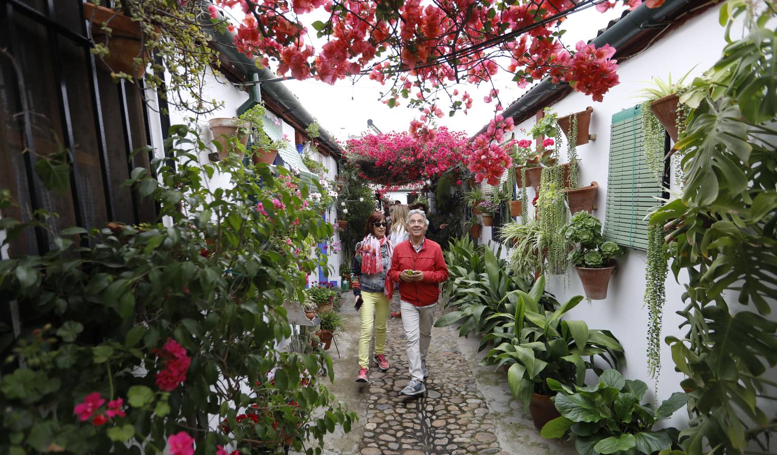 Los detalles del patio de Marroquíes, 6 en Córdoba, en imágenes