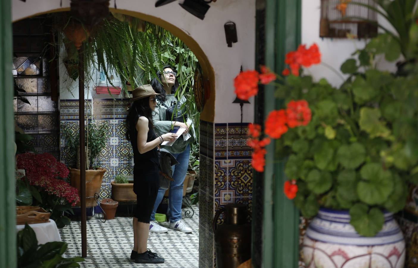 La belleza de los Patios de Córdoba en San Pedro, en imágenes