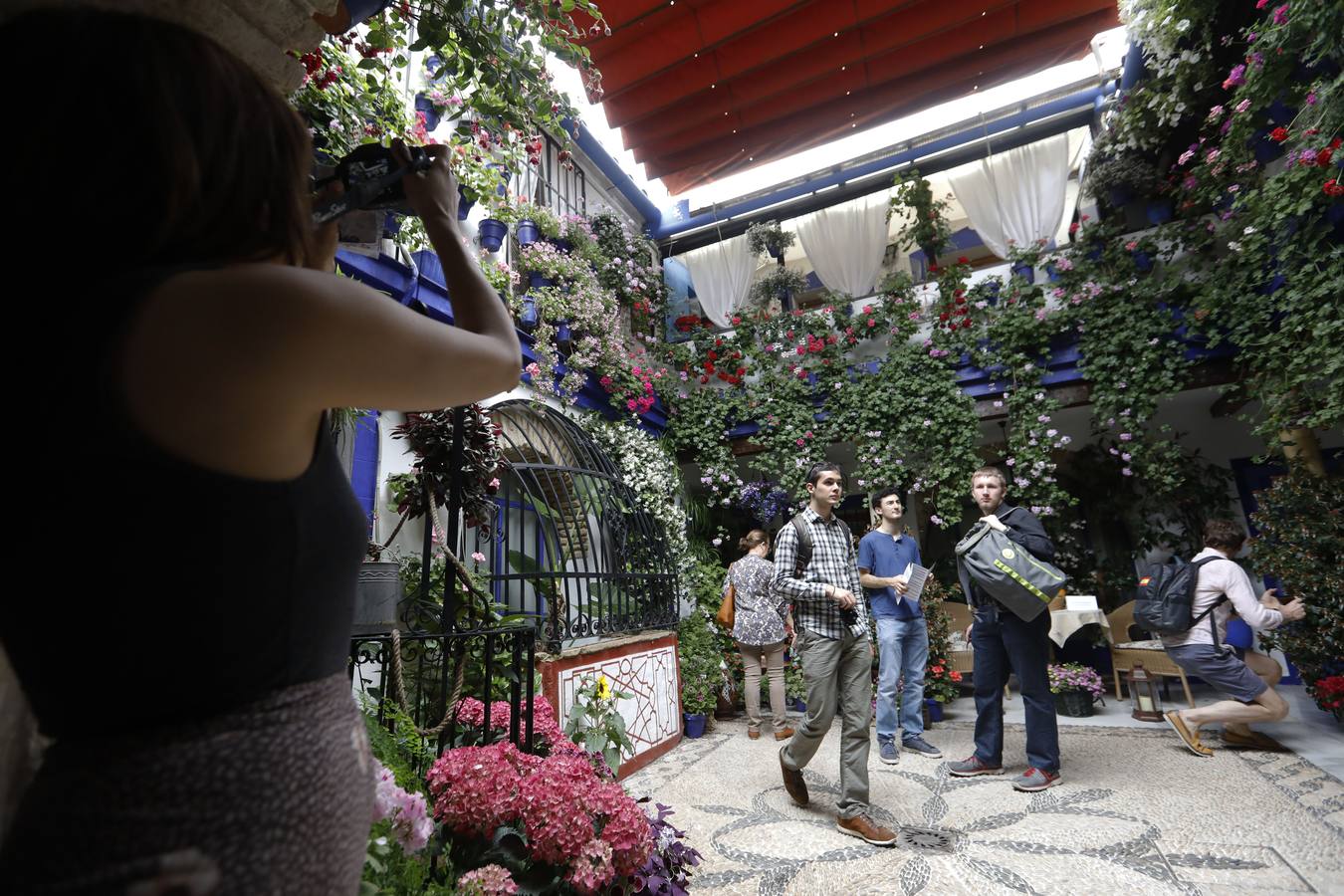 La belleza de los Patios de Córdoba en San Pedro, en imágenes