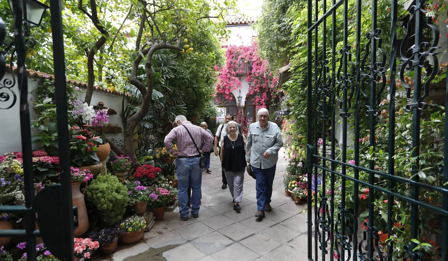 La belleza de los Patios de Córdoba en San Pedro, en imágenes