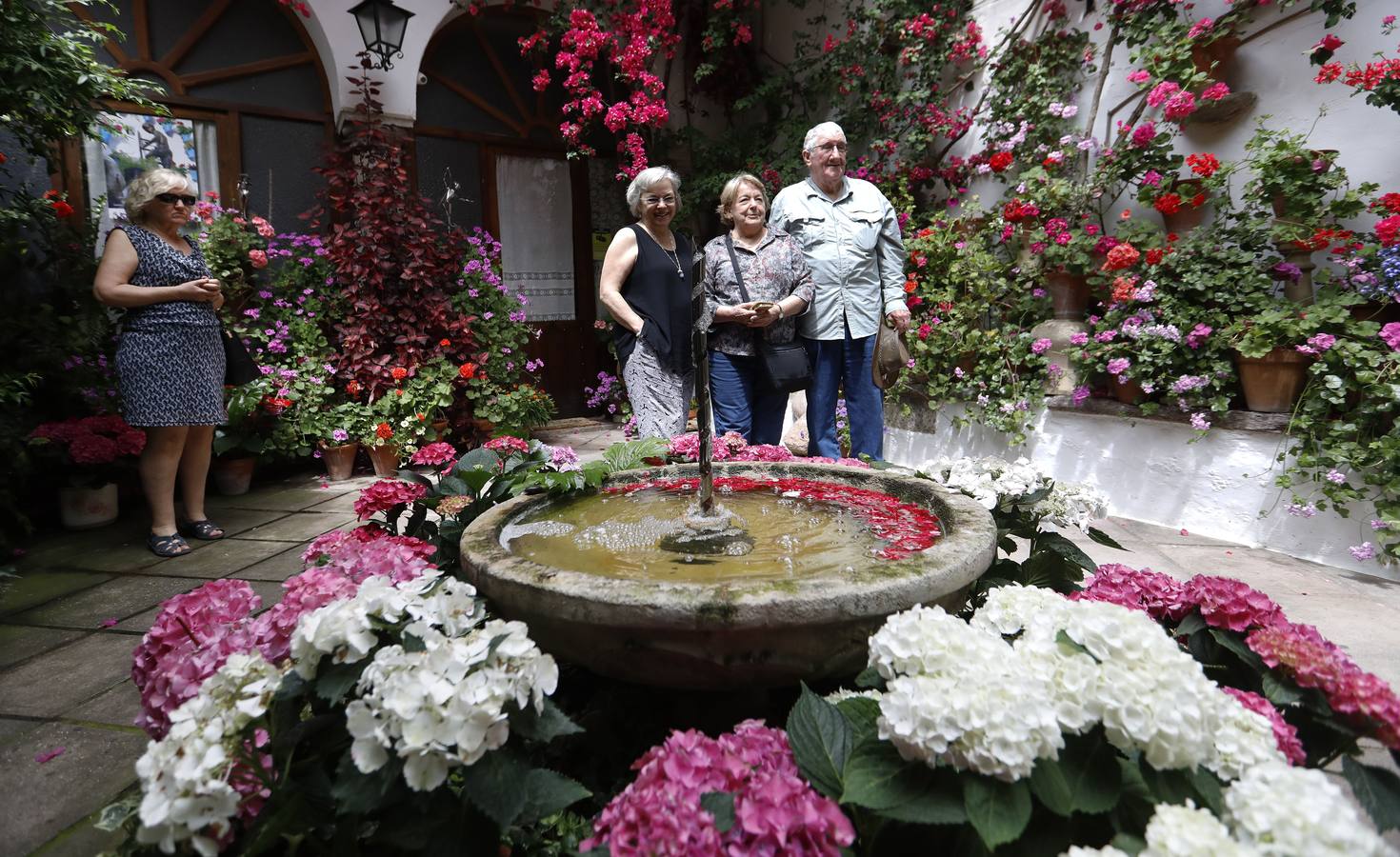 La belleza de los Patios de Córdoba en San Pedro, en imágenes