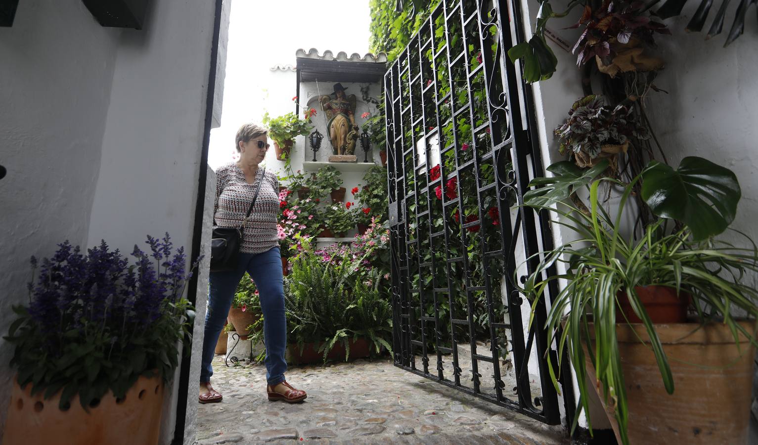 La belleza de los Patios de Córdoba en San Pedro, en imágenes