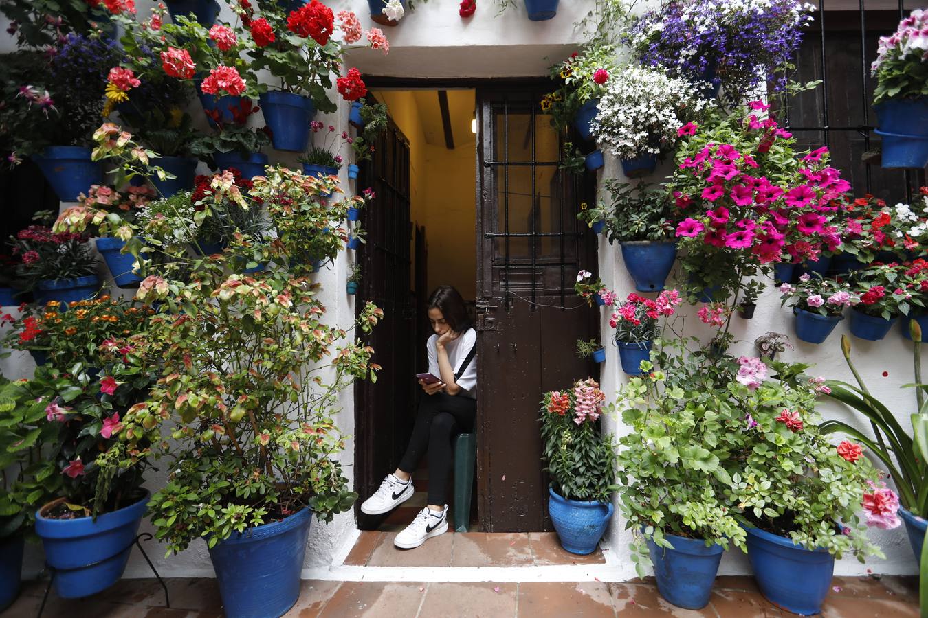 La belleza de los Patios de Córdoba en San Pedro, en imágenes