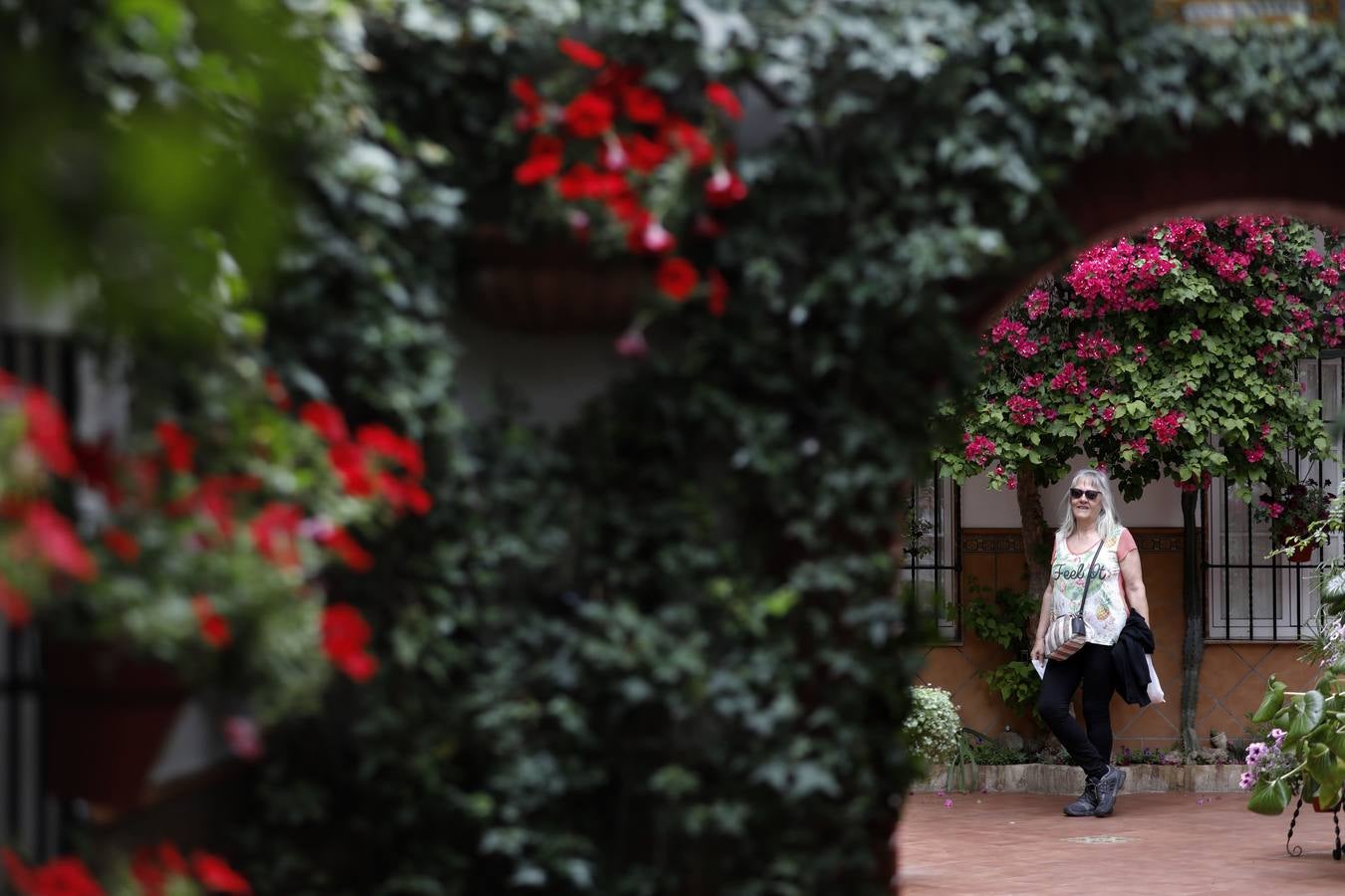 La belleza de los Patios de Córdoba en San Pedro, en imágenes