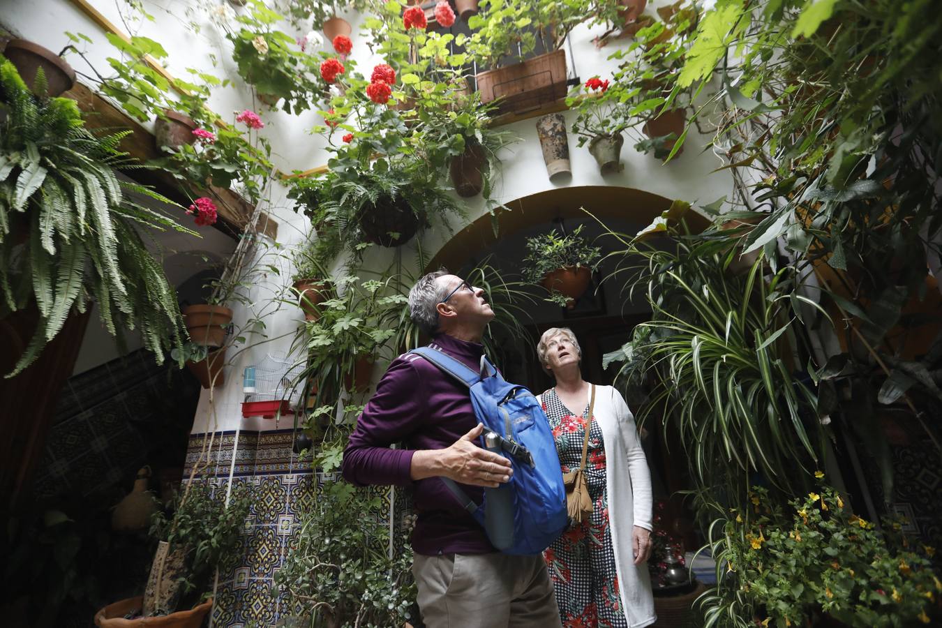 La belleza de los Patios de Córdoba en San Pedro, en imágenes