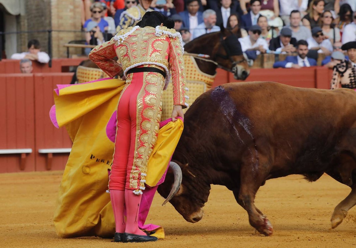 Miguel Ángel Perera