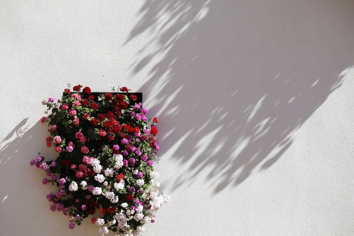 Las rejas y balcones de Córdoba, en imágenes
