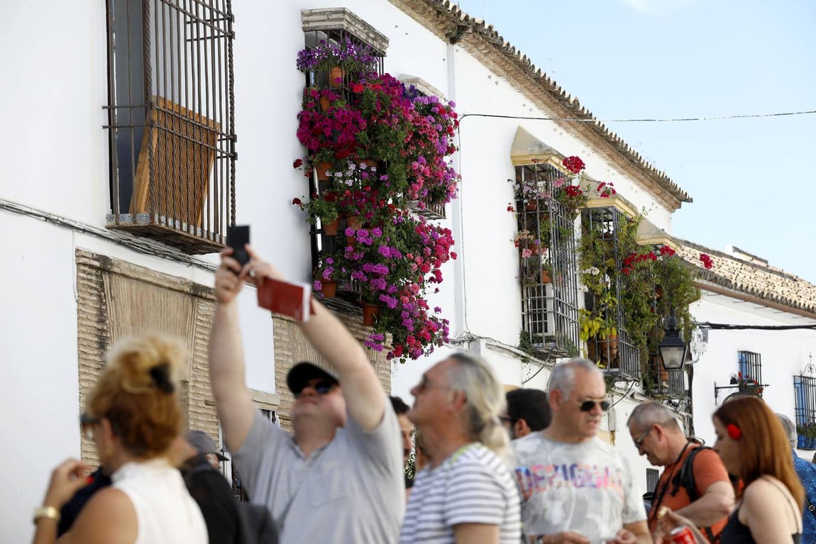 Las rejas y balcones de Córdoba, en imágenes