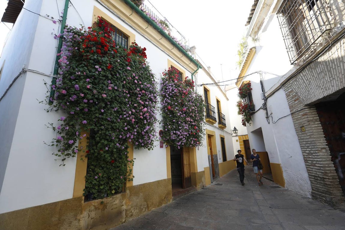 Las rejas y balcones de Córdoba, en imágenes