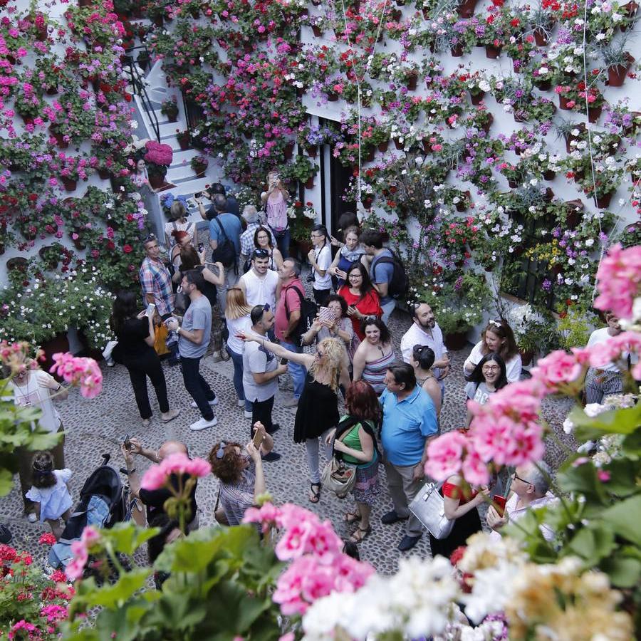 El ambiente para visitar los Patios de San Basilio en Córdoba, en imágenes