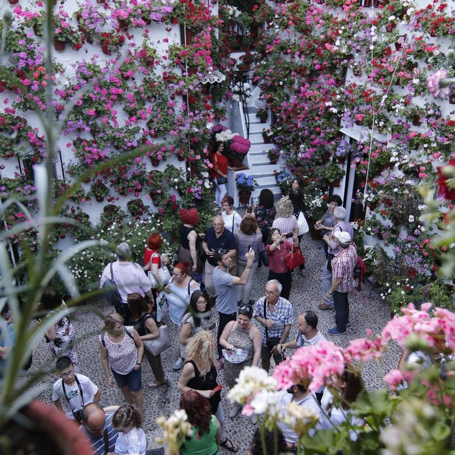 El ambiente para visitar los Patios de San Basilio en Córdoba, en imágenes