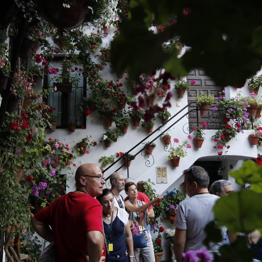 El ambiente para visitar los Patios de San Basilio en Córdoba, en imágenes