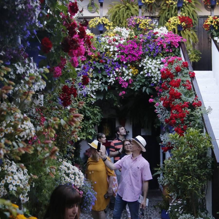 El ambiente para visitar los Patios de San Basilio en Córdoba, en imágenes