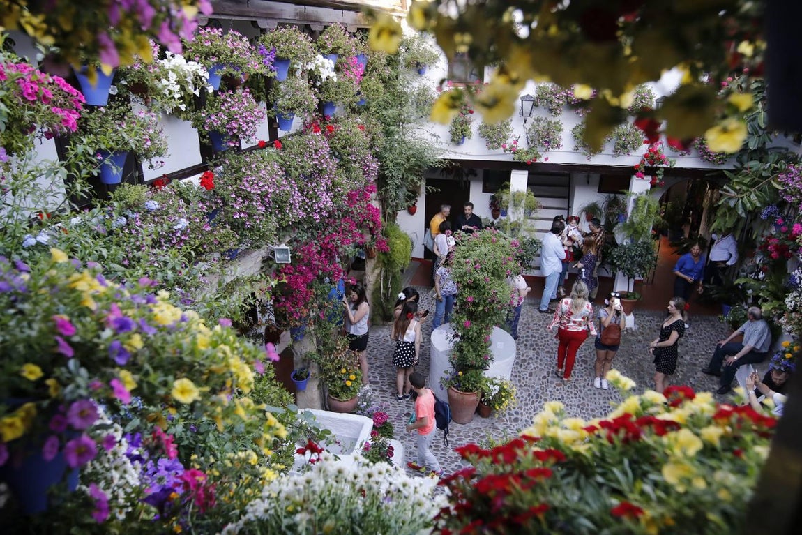 El ambiente para visitar los Patios de San Basilio en Córdoba, en imágenes