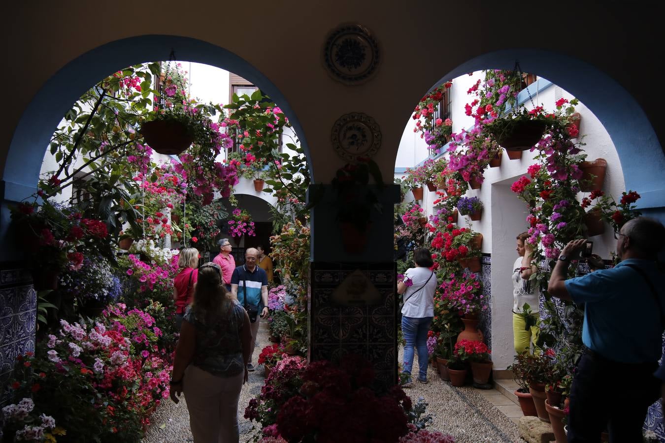 El hechizo de los Patios de Córdoba en Regina y Realejo, en imágenes