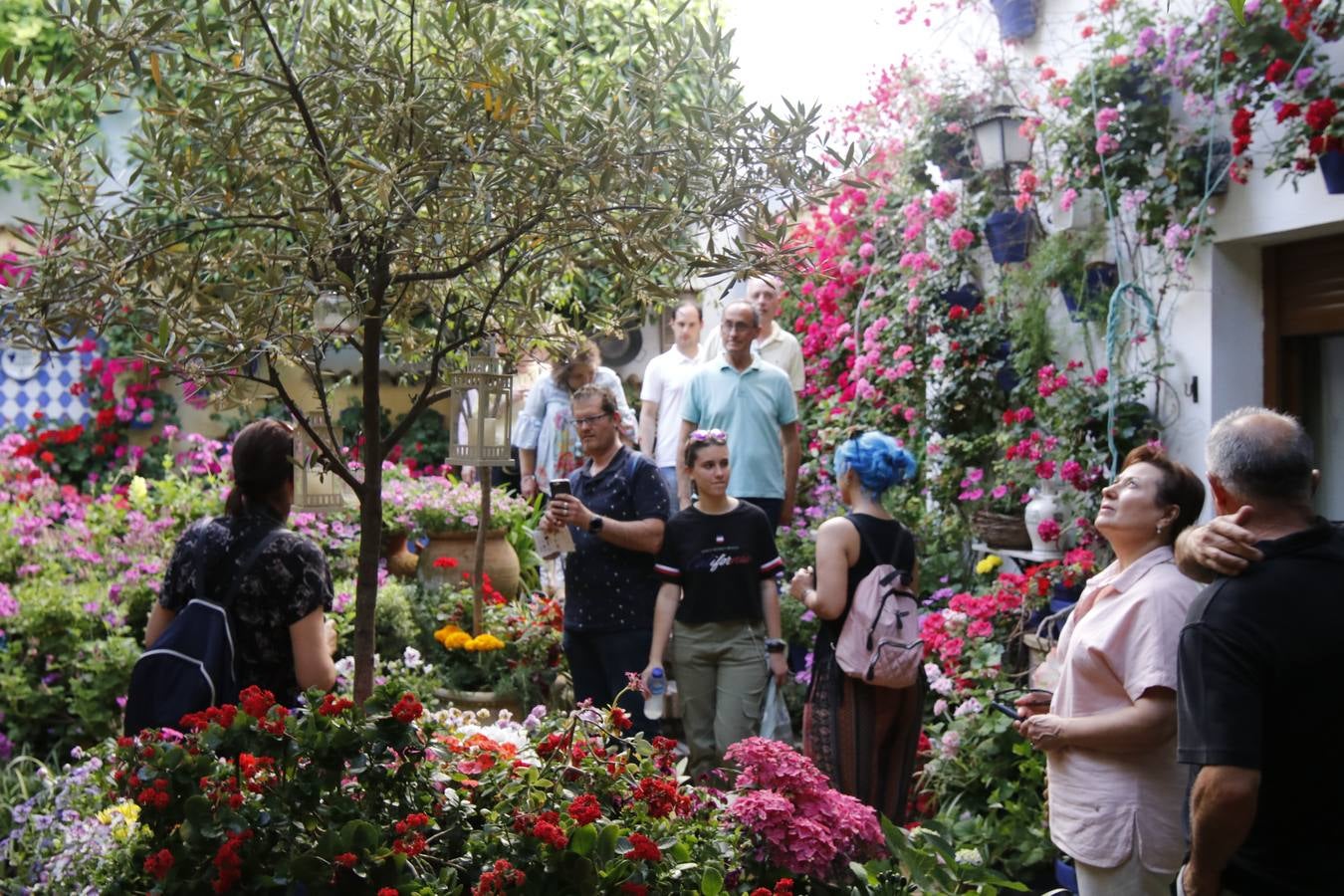 El hechizo de los Patios de Córdoba en Regina y Realejo, en imágenes