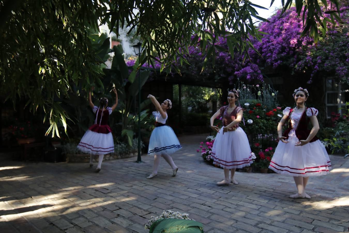 El hechizo de los Patios de Córdoba en Regina y Realejo, en imágenes