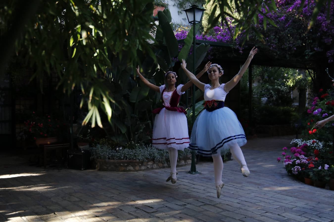 El hechizo de los Patios de Córdoba en Regina y Realejo, en imágenes