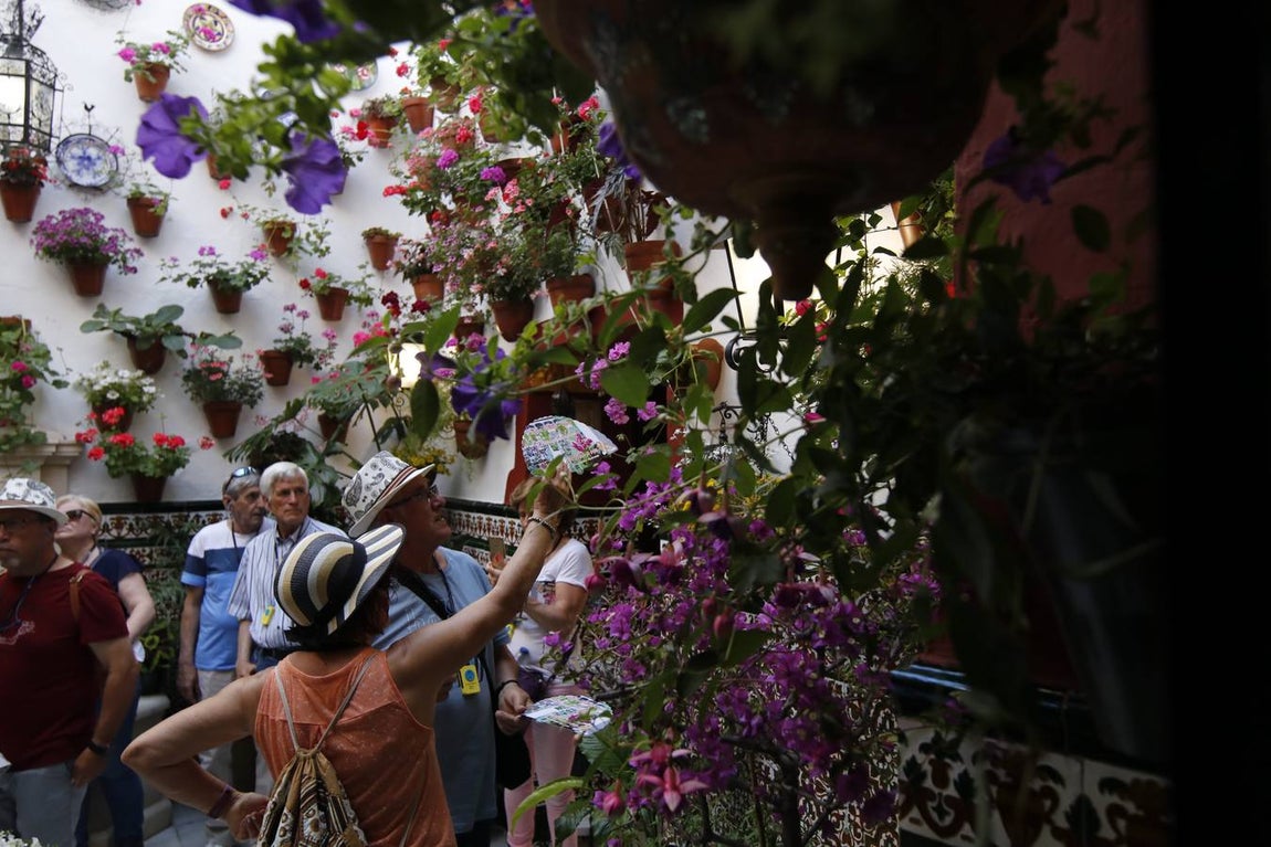 El hechizo de los Patios de Córdoba en Regina y Realejo, en imágenes