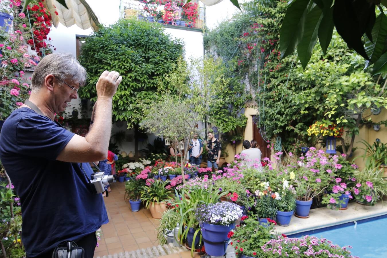 El hechizo de los Patios de Córdoba en Regina y Realejo, en imágenes