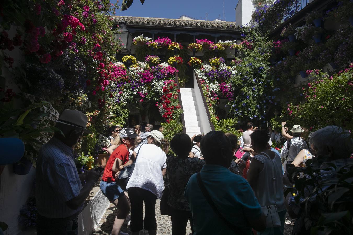 Bullas y belleza de los Patios de Córdoba, en imágenes