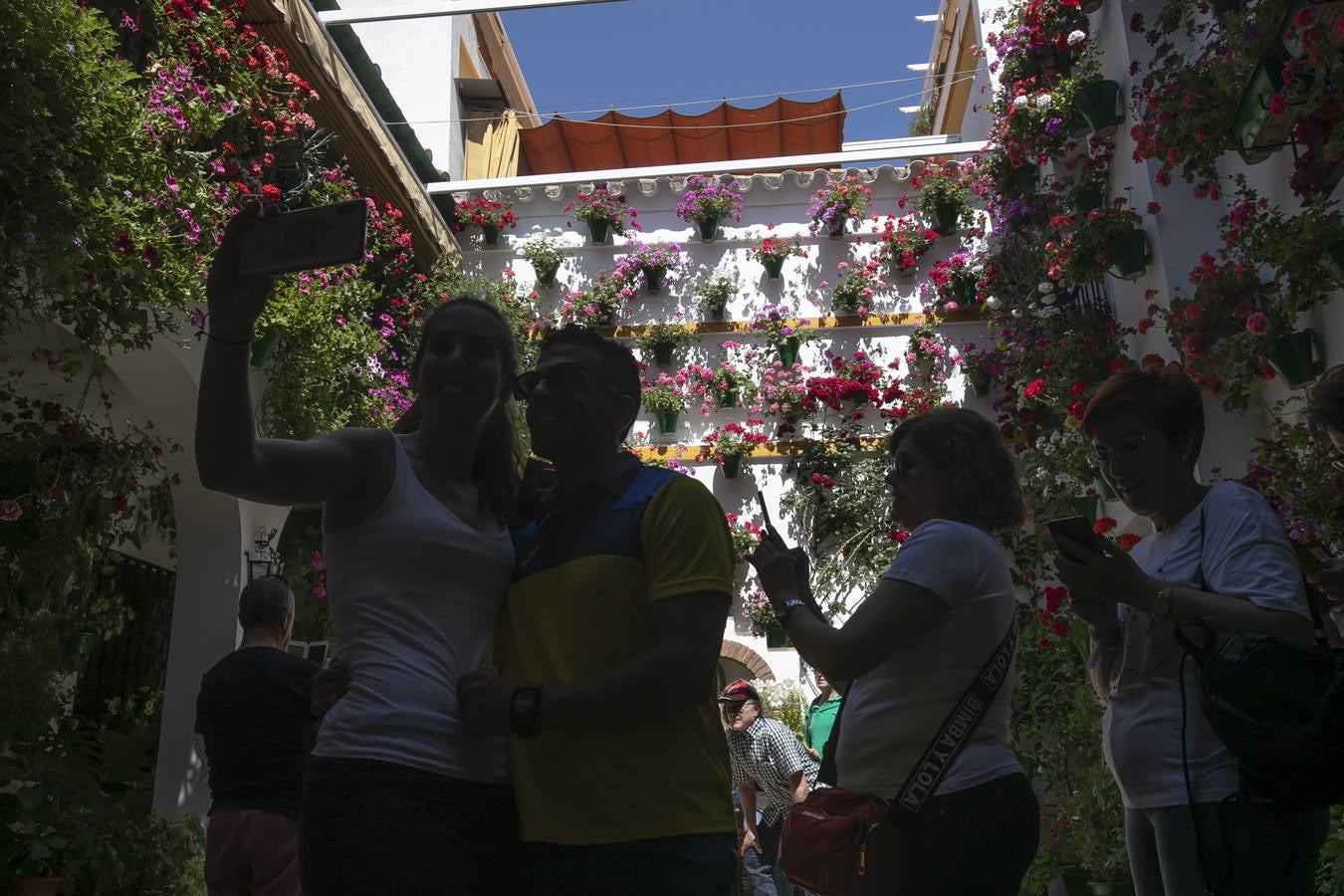 Bullas y belleza de los Patios de Córdoba, en imágenes