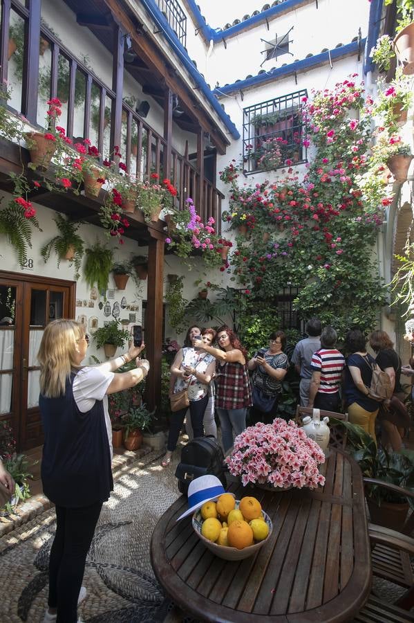 Bullas y belleza de los Patios de Córdoba, en imágenes