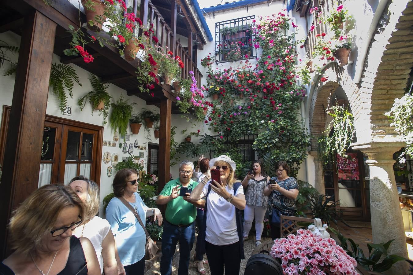 Bullas y belleza de los Patios de Córdoba, en imágenes