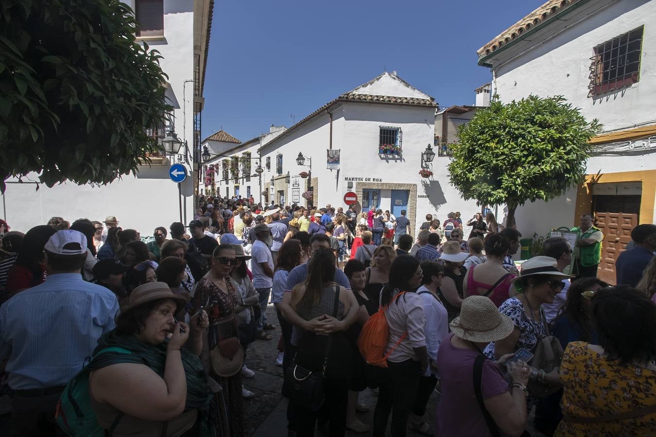 Bullas y belleza de los Patios de Córdoba, en imágenes