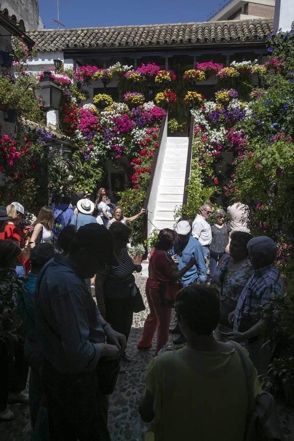 Bullas y belleza de los Patios de Córdoba, en imágenes