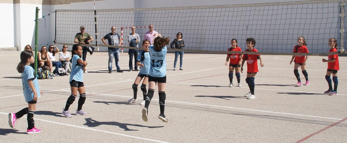 Las mejores imágenes del encuentro de voley entre Raimundo Lulio y Obispo Perelló A