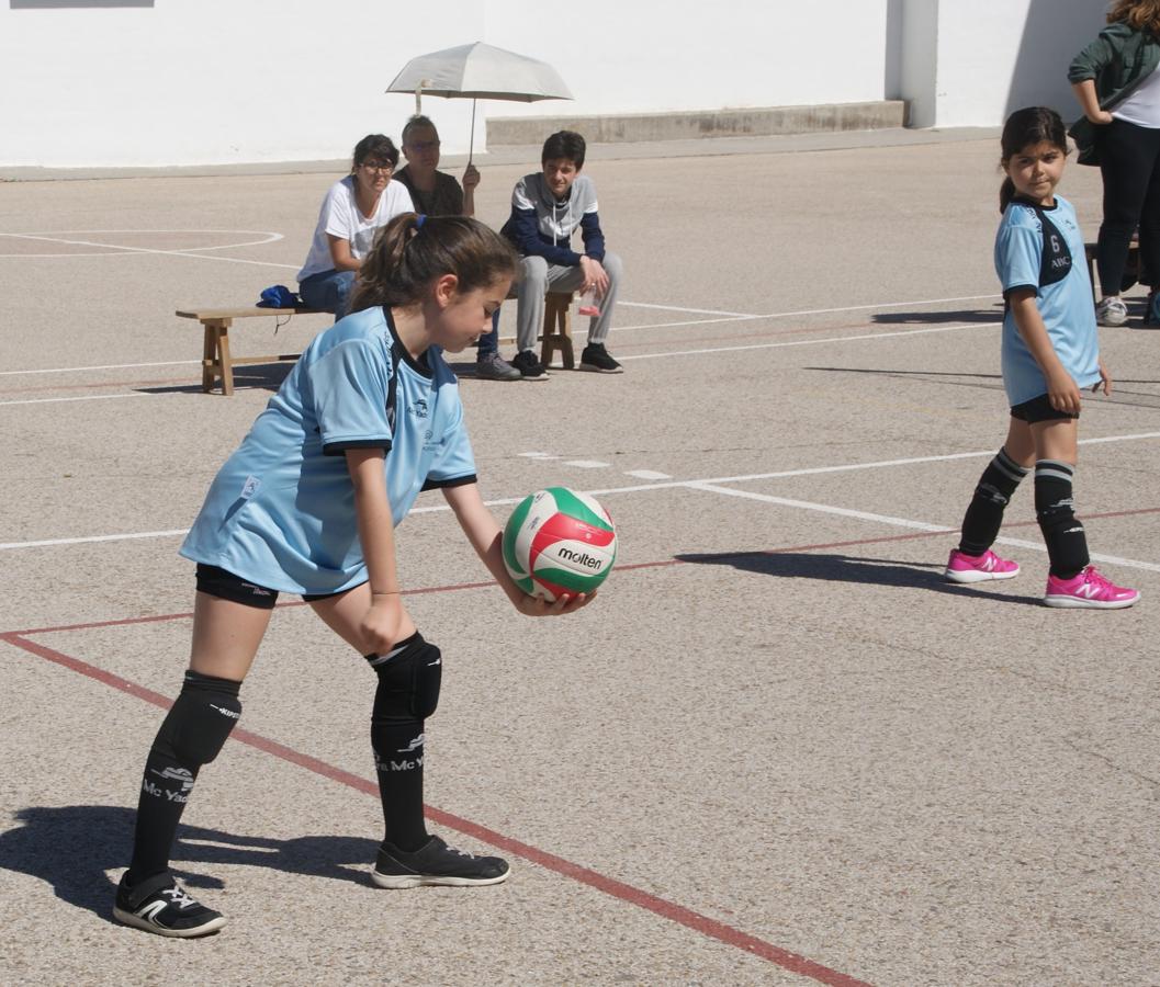 Las mejores imágenes del encuentro de voley entre Raimundo Lulio y Obispo Perelló A