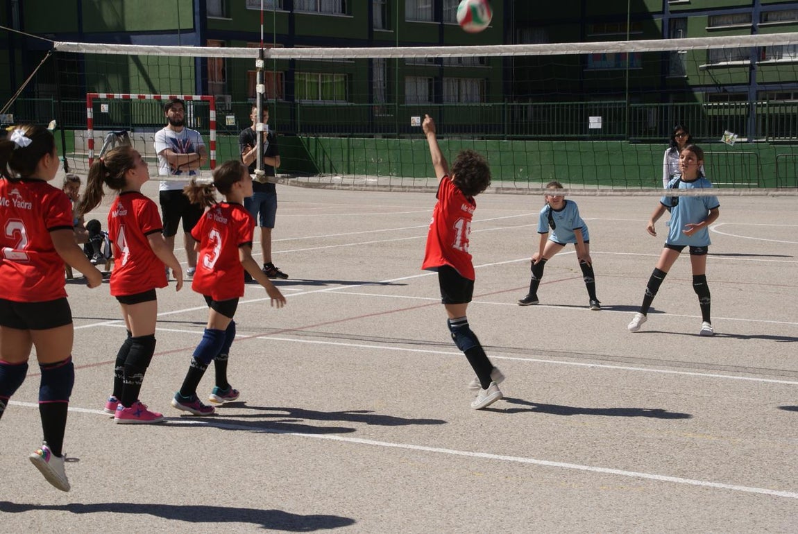 Las mejores imágenes del encuentro de voley entre Raimundo Lulio y Obispo Perelló A