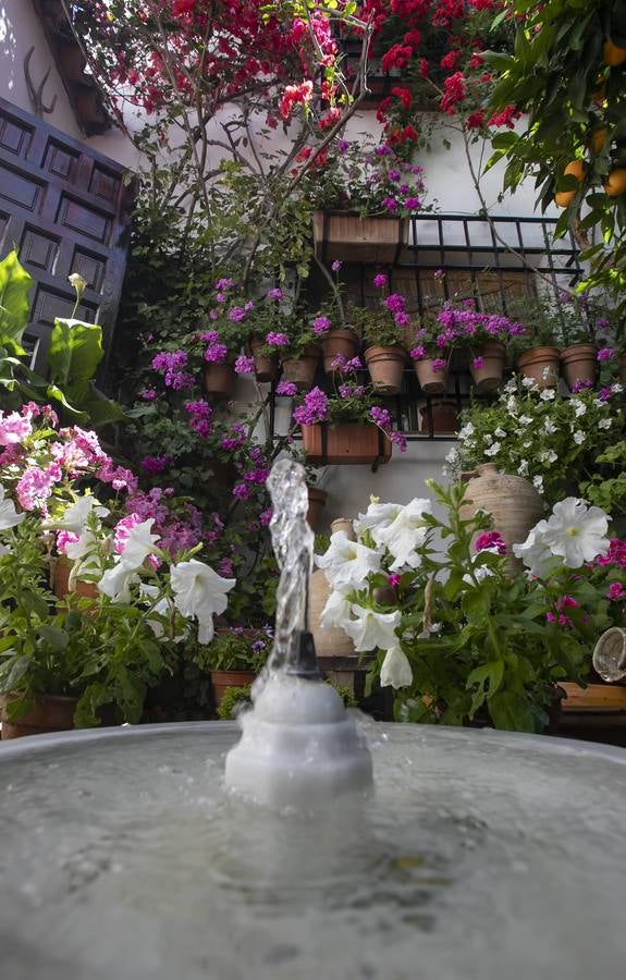La autenticidad de los Patios de Córdoba en Santa Marina y San Agustín, en imágenes