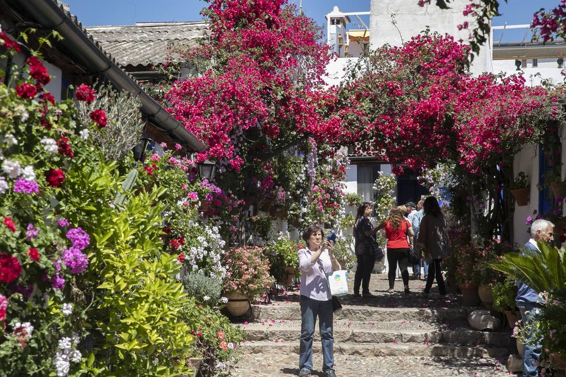 La autenticidad de los Patios de Córdoba en Santa Marina y San Agustín, en imágenes