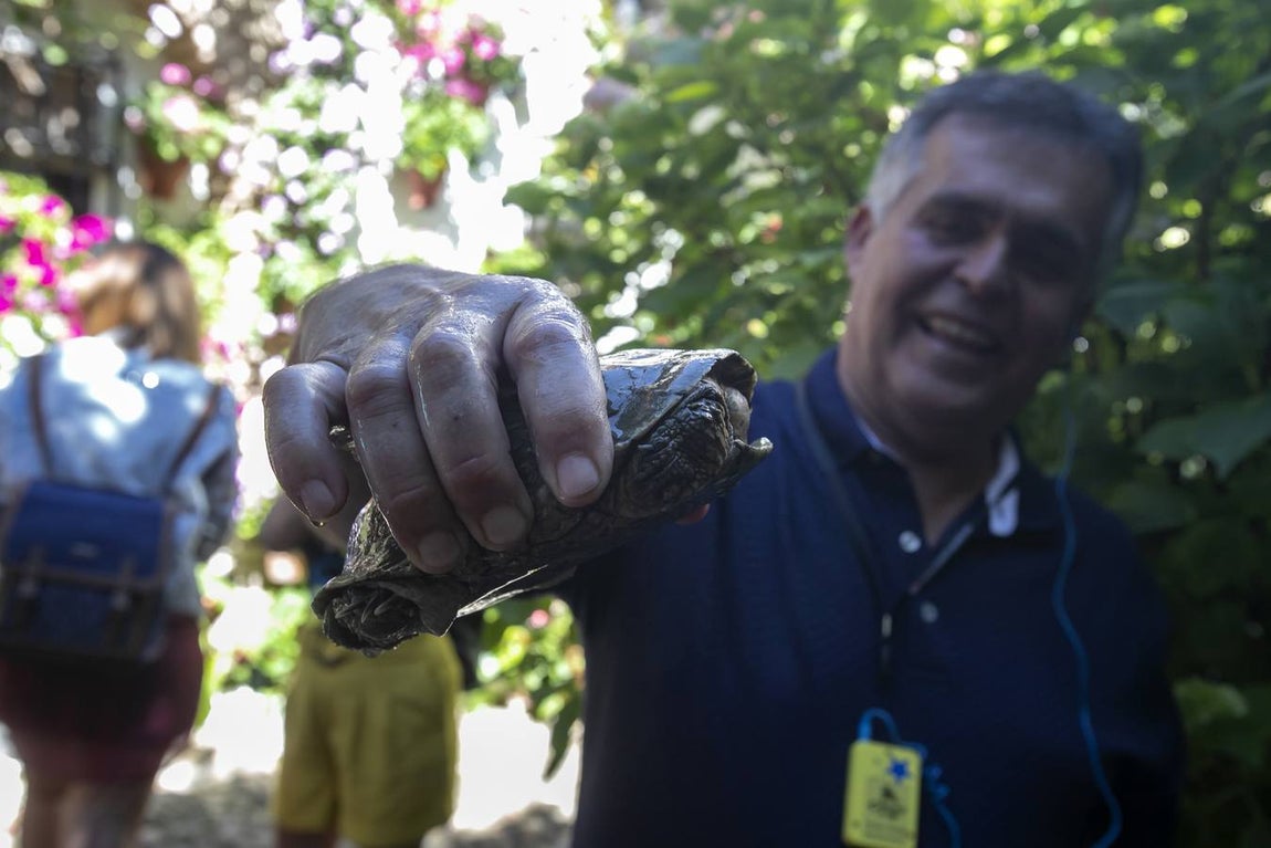 La autenticidad de los Patios de Córdoba en Santa Marina y San Agustín, en imágenes