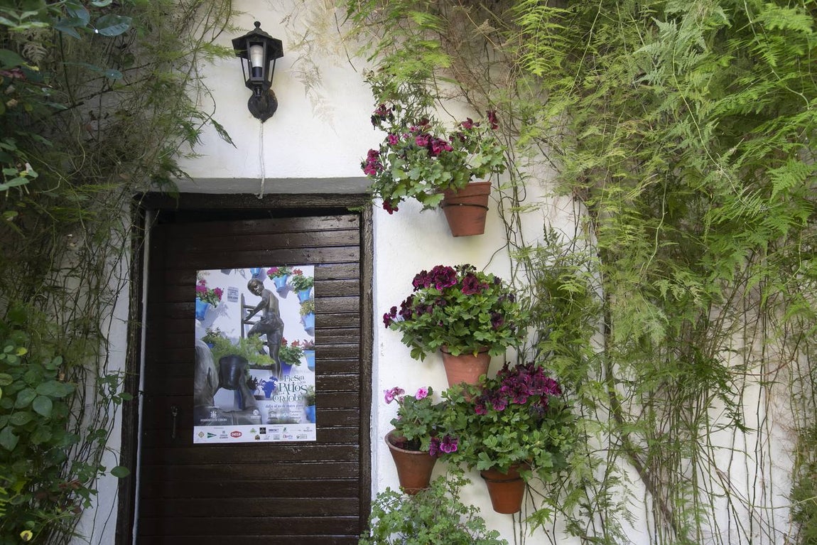 La autenticidad de los Patios de Córdoba en Santa Marina y San Agustín, en imágenes