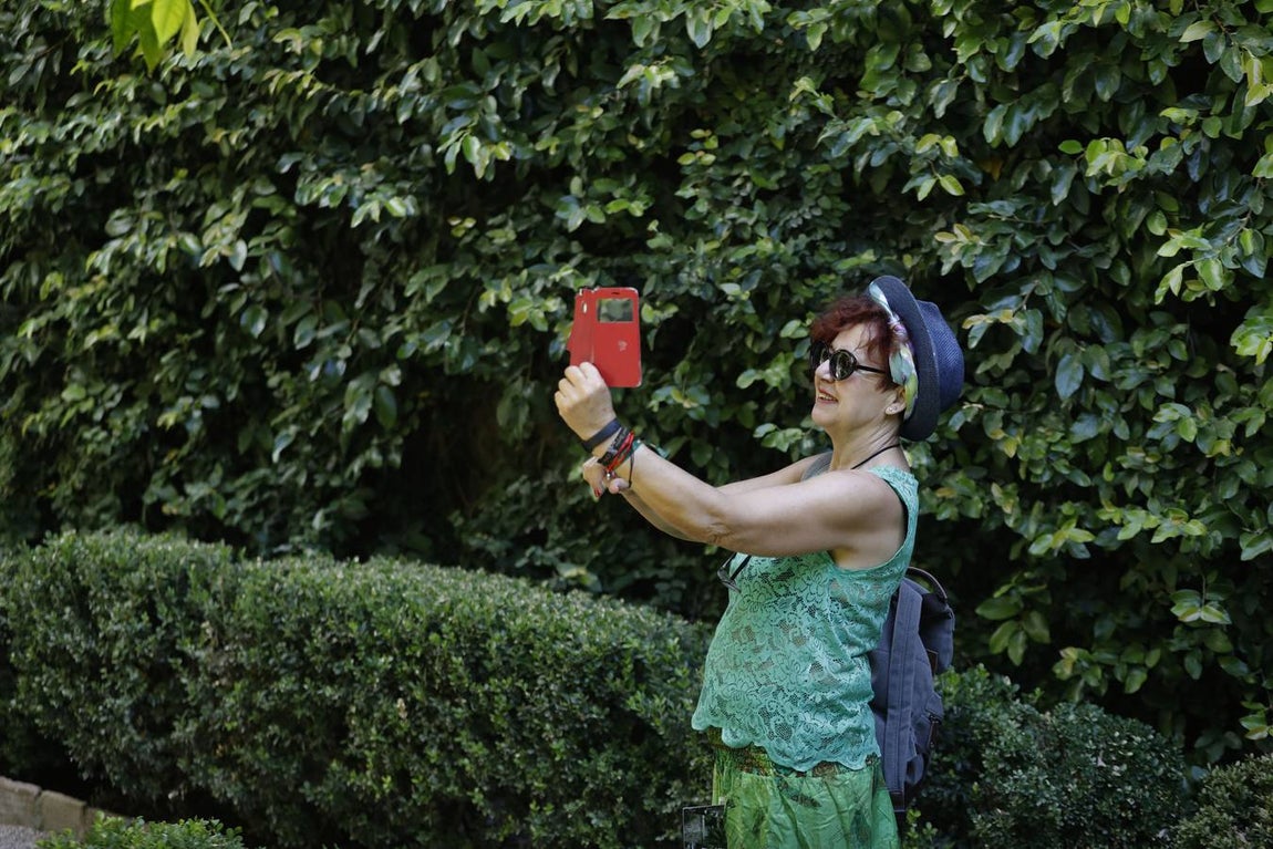 El asombro de los patios del Palacio de Viana de Córdoba, en imágenes