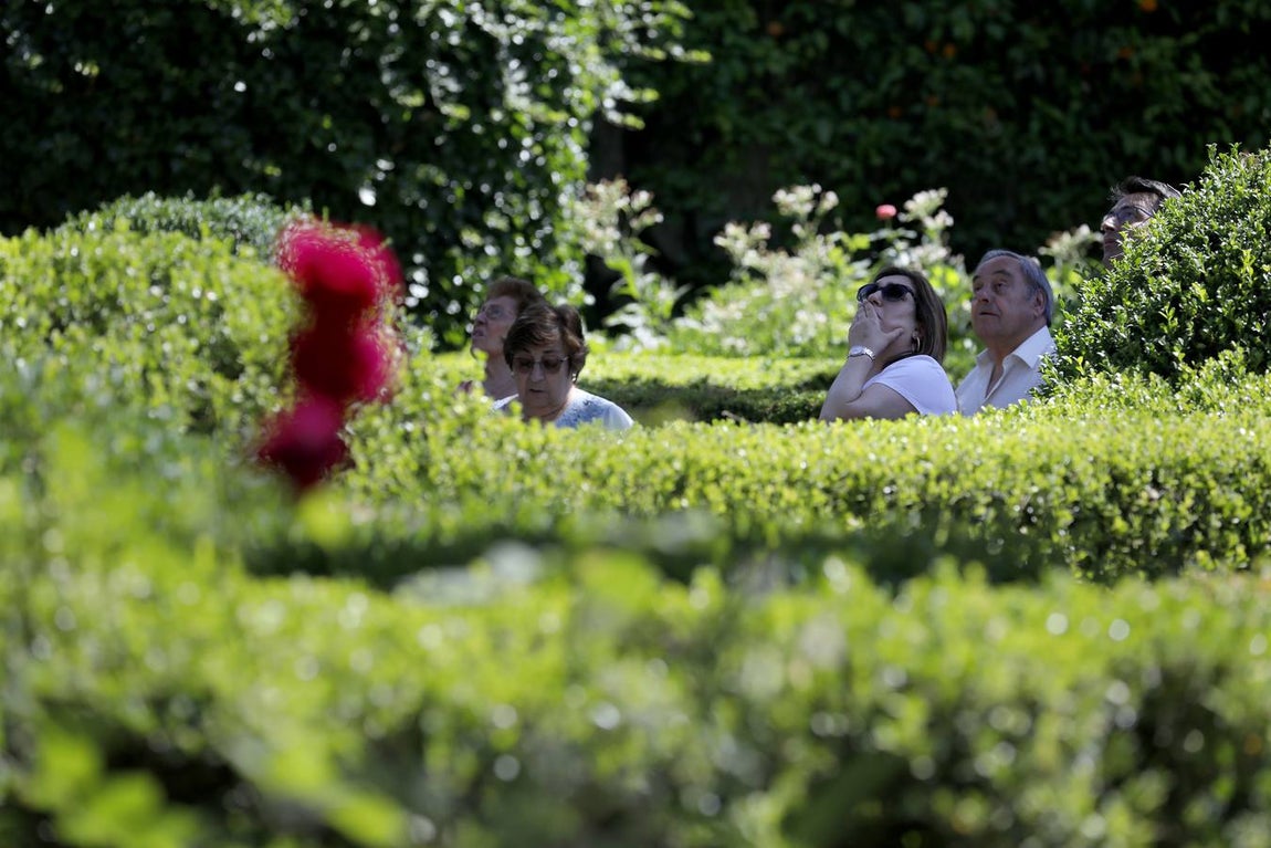 El asombro de los patios del Palacio de Viana de Córdoba, en imágenes