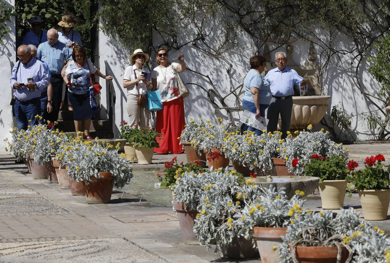 El asombro de los patios del Palacio de Viana de Córdoba, en imágenes