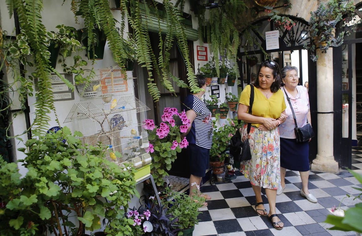 El encanto de los Patios de San Francisco y la Judería de Córdoba, en imágenes
