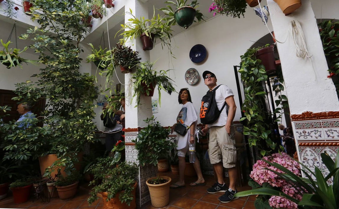 El encanto de los Patios de San Francisco y la Judería de Córdoba, en imágenes