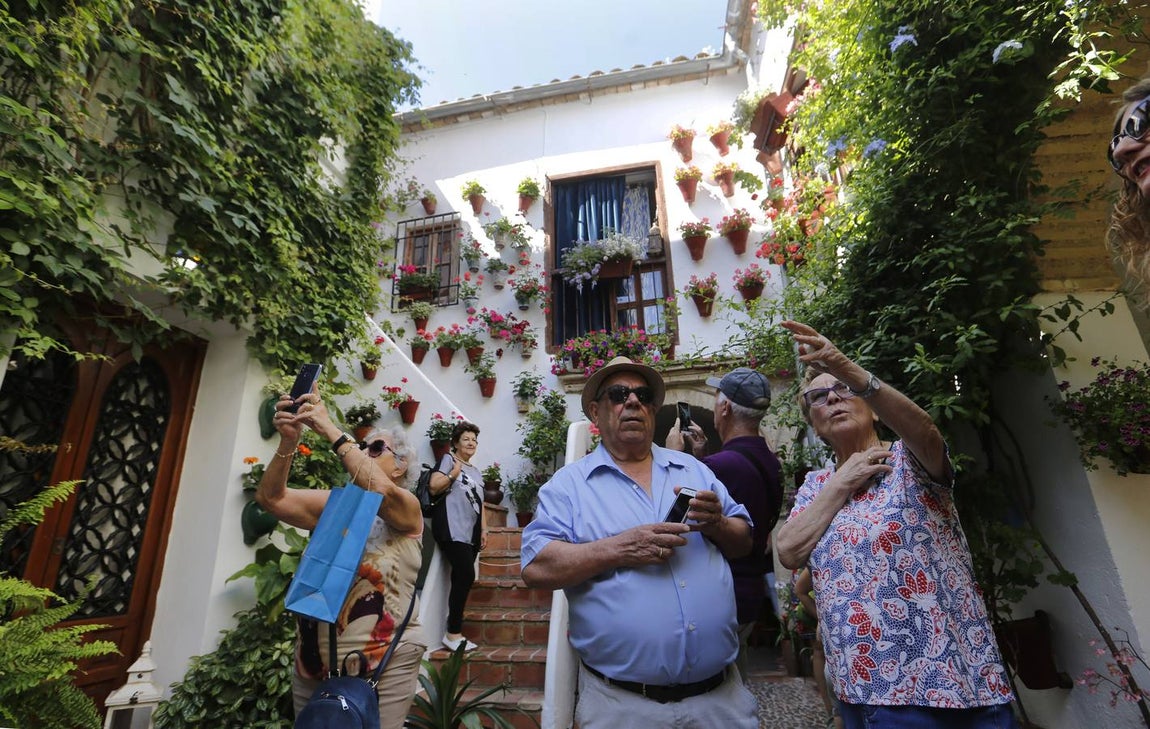 El encanto de los Patios de San Francisco y la Judería de Córdoba, en imágenes