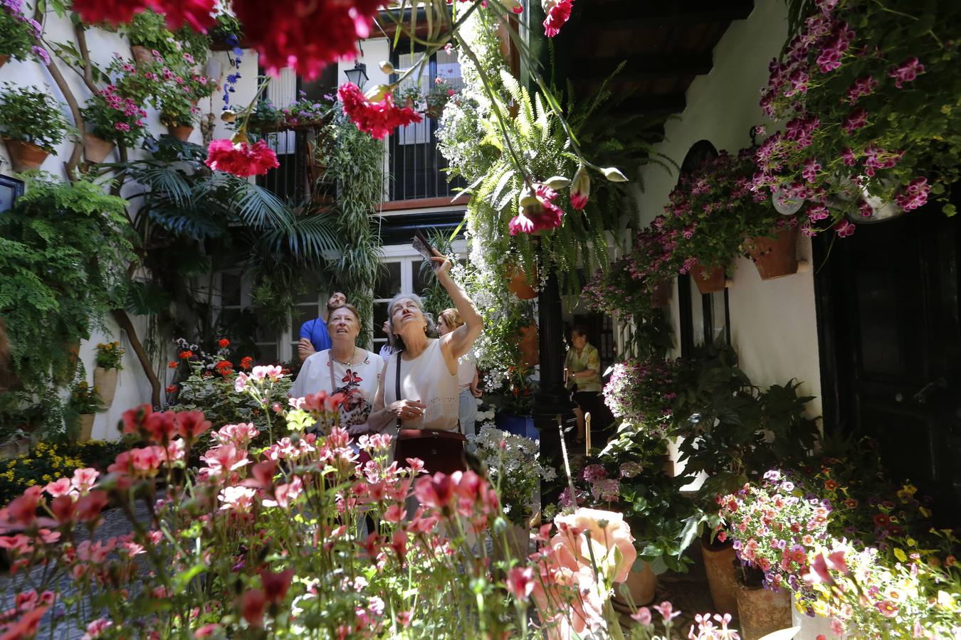 El encanto de los Patios de San Francisco y la Judería de Córdoba, en imágenes